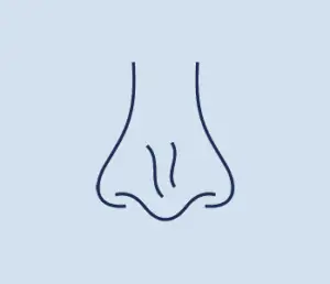 nasal valve disorder