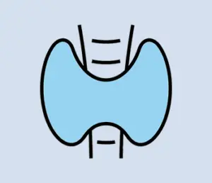 Thyroid Surgery Icon